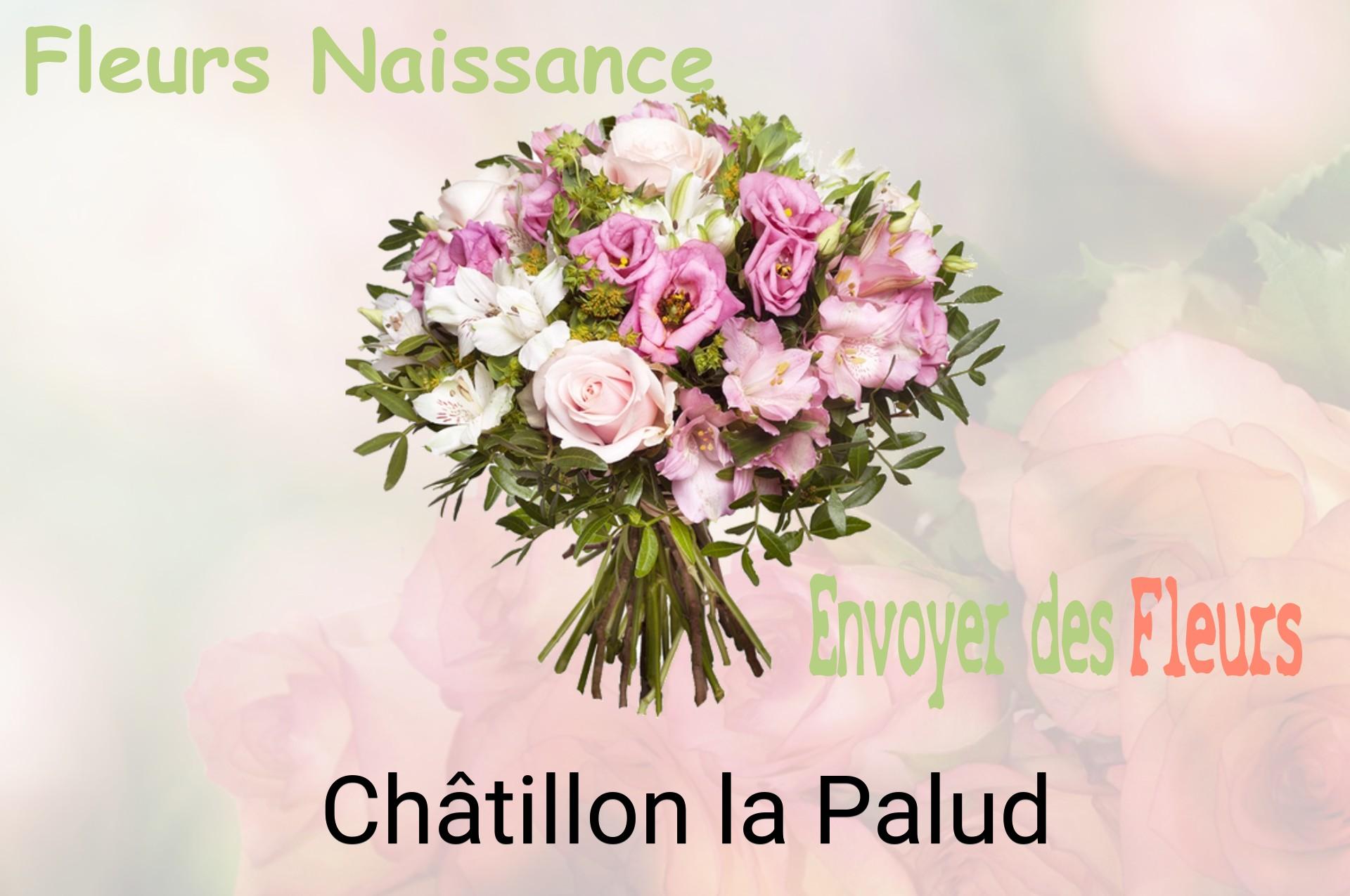 Bouquet de fleurs de naissance livré à Châtillon-la-Palud