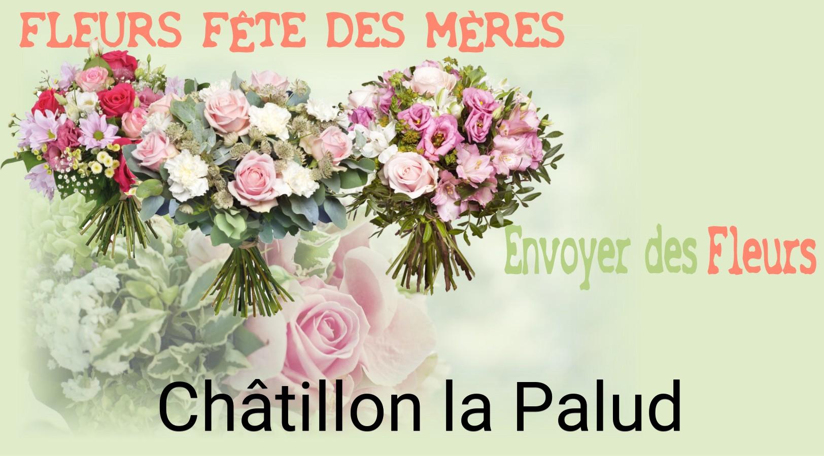 Bouquet de Fête des Mères livré à Châtillon-la-Palud